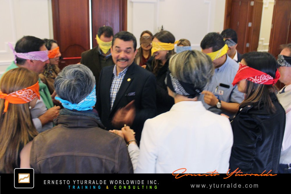 Talleres de Liderazgo y Team Building en LATAM, Talleres de Trabajo en Equipo